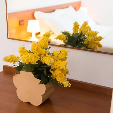 Doge Veneziano Guest house Mestre